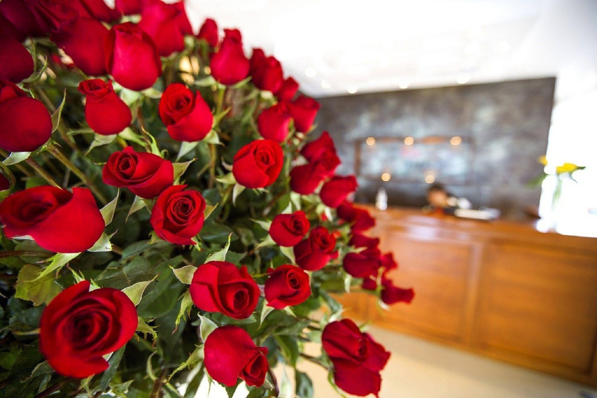 Hotel Ambato Luaran gambar